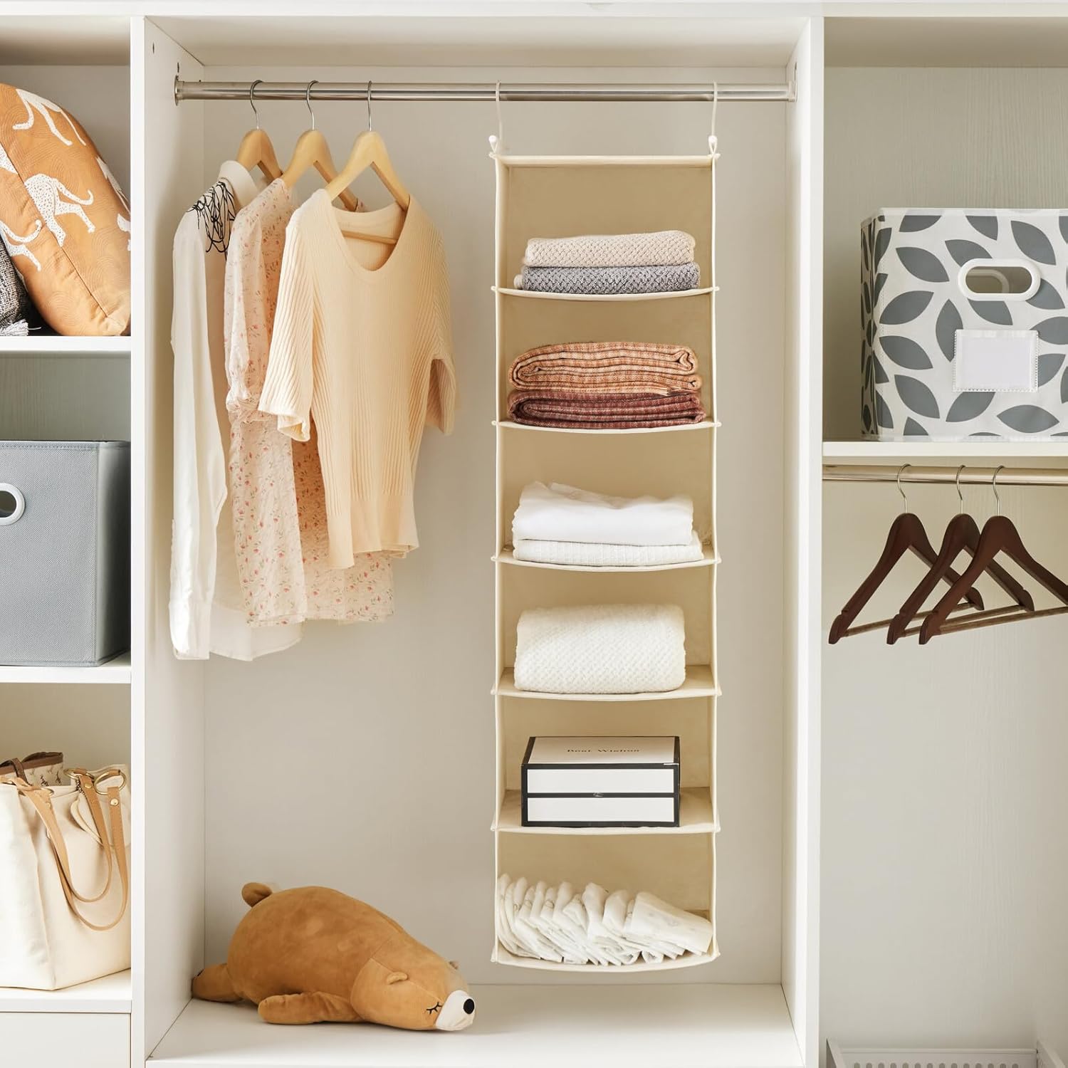 Hanging Closet Shelf Organizer